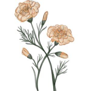 Marigold FertilityCare Center